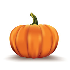 Pumpkin isolated on white.Realistic pumpkin vector illustration.