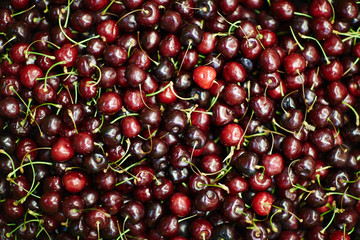 Background of appetizing cherries