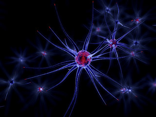3D Illustration of neuronal cells.