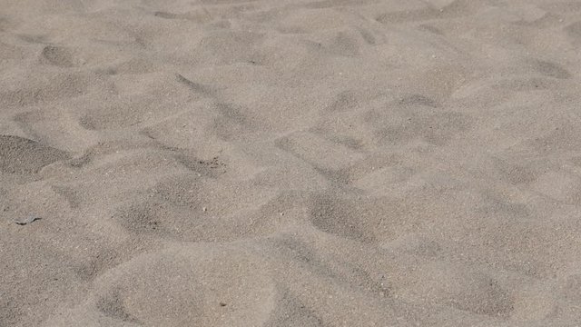 White beach fine sea sand granulation with foot stamps and tire trails 4K 2160p 30fps UltraHD tilting footage - Slow tilt over ocean coast line 3840X2160 UHD video 