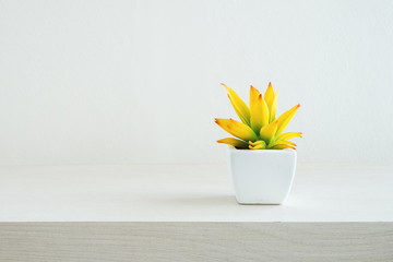 Tree pots decoration on wooden table