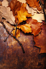 ..Red and Orange Autumn Leaves Background. Yellow Fallen autumn