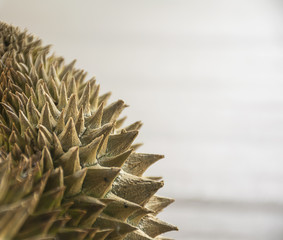 Naklejka na ściany i meble close up durian. thorny of fruit.
