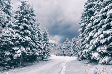 Winter view in a Carpathian mountain