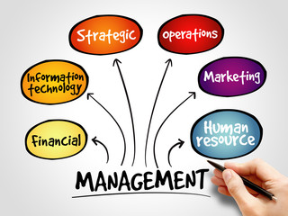 Management mind map business strategy concept