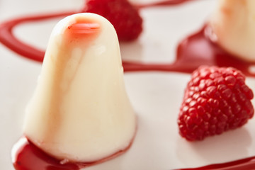 Panna cotta with raspberry and strawberry sauce, bright colors.