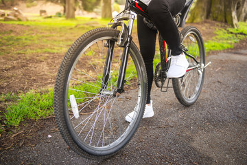 Fototapeta premium Mountain bike in the park