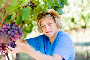 Boy in vineyard