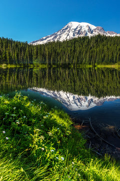 The Beautful Reflection of Mt Rainier