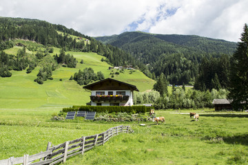 478 - South Tyrol