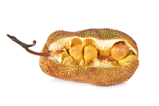 split ripe cempedak with stem on white background