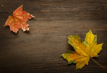 Naklejka na ściany i meble autumn leaf on wood background (top view)