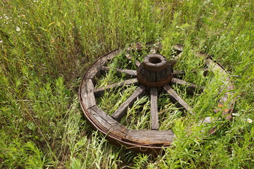 wooden wheel on a background of green grass