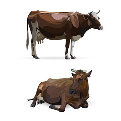 cow lying, vector