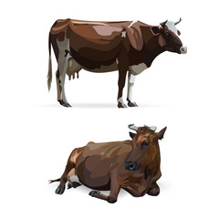 cow lying, vector