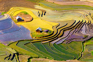 Beautiful terraced rice fields in Vietnam