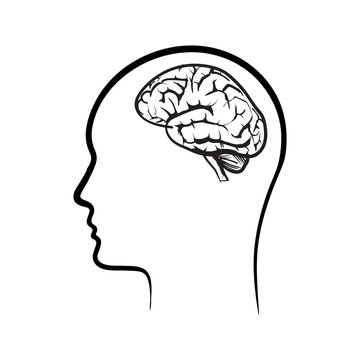 vector icon brain