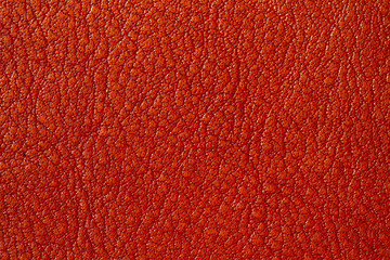 Pattern on the cow leather through bleaching