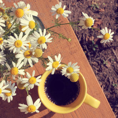morning warming coffee with flowers/ bouquet of daisies and a cup of coffee on a bench lit the morning sun 
