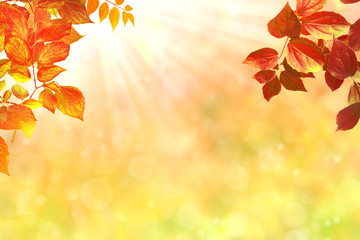 Herbst 130