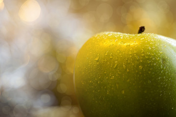 Wet green apple closeup with copy space