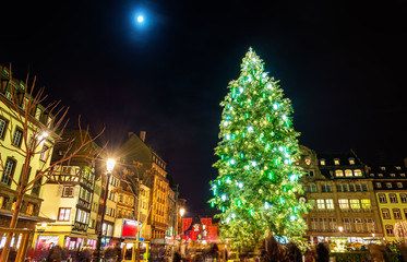 Fototapeta na wymiar Christmas tree at the famous Market in Strasbourg