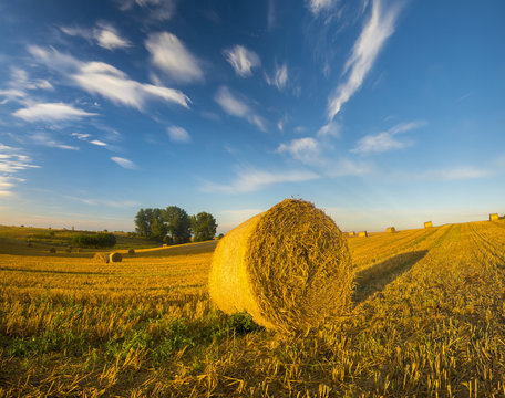 Panorama pola po żniwach,snopki słomy,piękne niebo