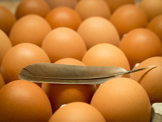 The Nutritional Value of  Egg whites are a low-calorie, fat-free