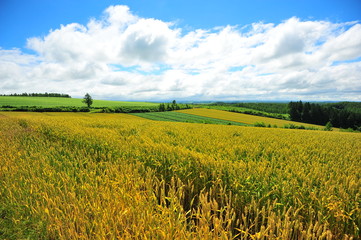 Landscapes of Countryside in Hokkaido, Japan