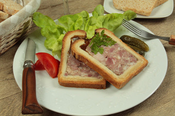 pâté en croute 15092016