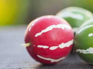 オキナワスズメウリの実
