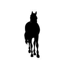Black horse silhouette vector illustration