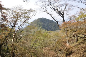 Obraz premium 紅葉の檜洞丸よりテシロノ頭