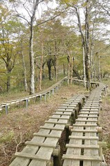 木道の山道