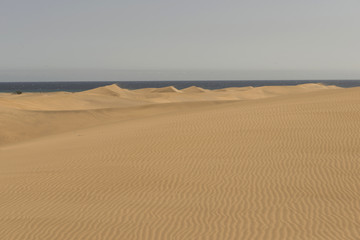 Dunas de Maspaloma, Gran Canaria
