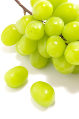 シャインマスカット