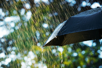 Rain, close up of umbrella in the rain with copy space