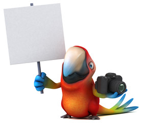 Fun parrot