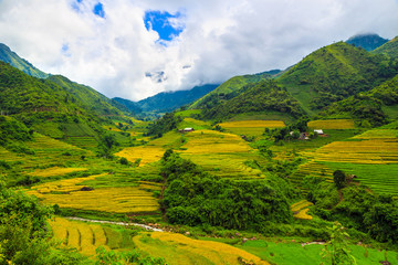 Beautiful terraced rice fields in Vietnam