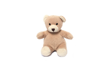 isolated teddy bear on white background