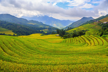 Fototapeta na wymiar Beautiful terraced rice fields in Vietnam