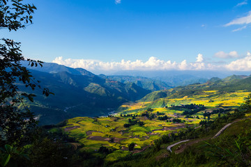 Beautiful terraced rice fields in Vietnam