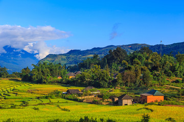 Beautiful terraced rice fields in Vietnam