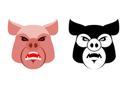 Angry pig. Aggressive wild boar. Logo big boar. grumpy farm anim