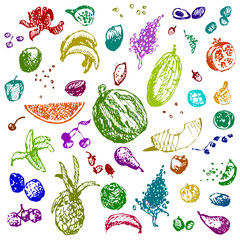 Hand drawn doodle food, fruits and berries. Colored objects, white seamless background.