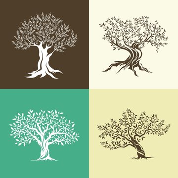 Olive trees silhouette isolated icon set.
Web graphics modern vector sign. Premium quality illustration logo design concept pictogram.