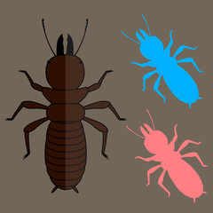 Termite Insects Vector