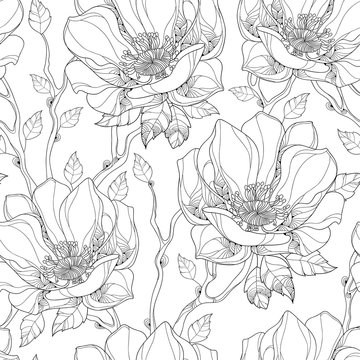 Vector Seamless Pattern With Contour Magnolia Flower And Ornate Leaves On The White Background. Elegance Floral Background In Outline Style For Summer Design And Coloring Book.