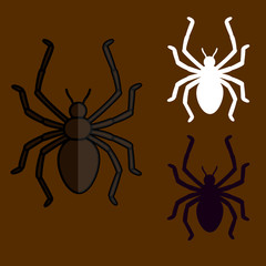 Spider Shapes