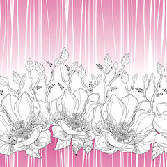 Vector seamless pattern with linear magnolia flower and ornate leaves on the white background with pink stripes. Elegance floral background in contour style for summer design.
